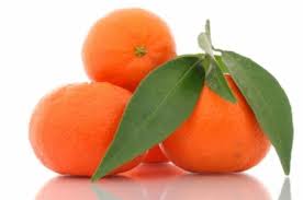 mandarino1